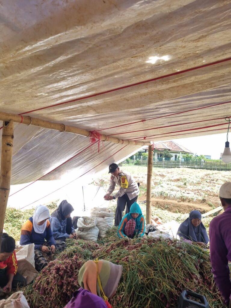 767685