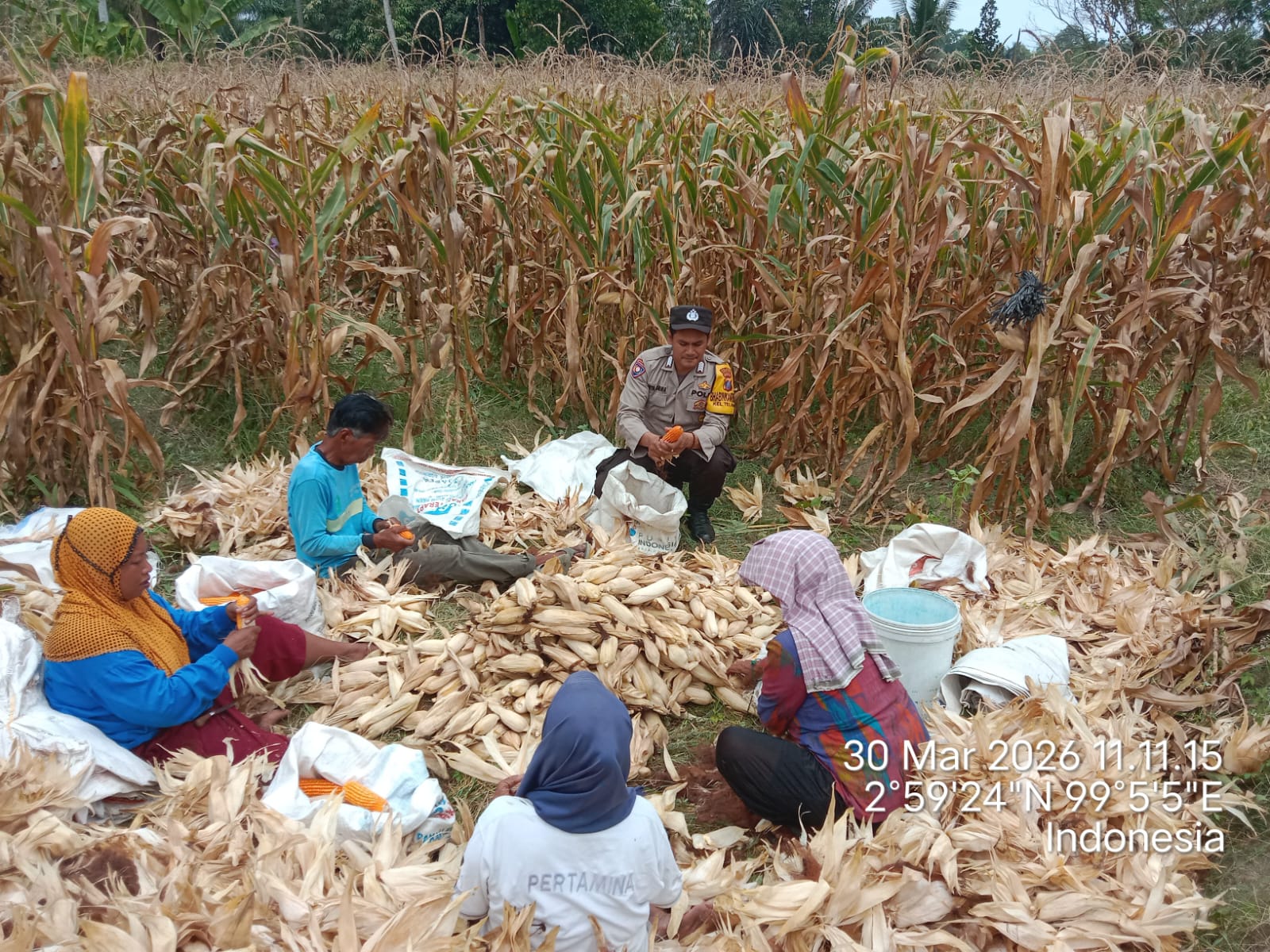 IMG-20260331-WA0060