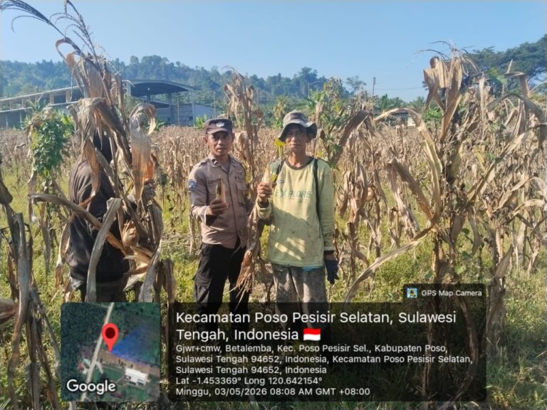 IMG-20260504-WA0002