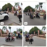 Oplus_131072