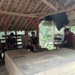 1033492