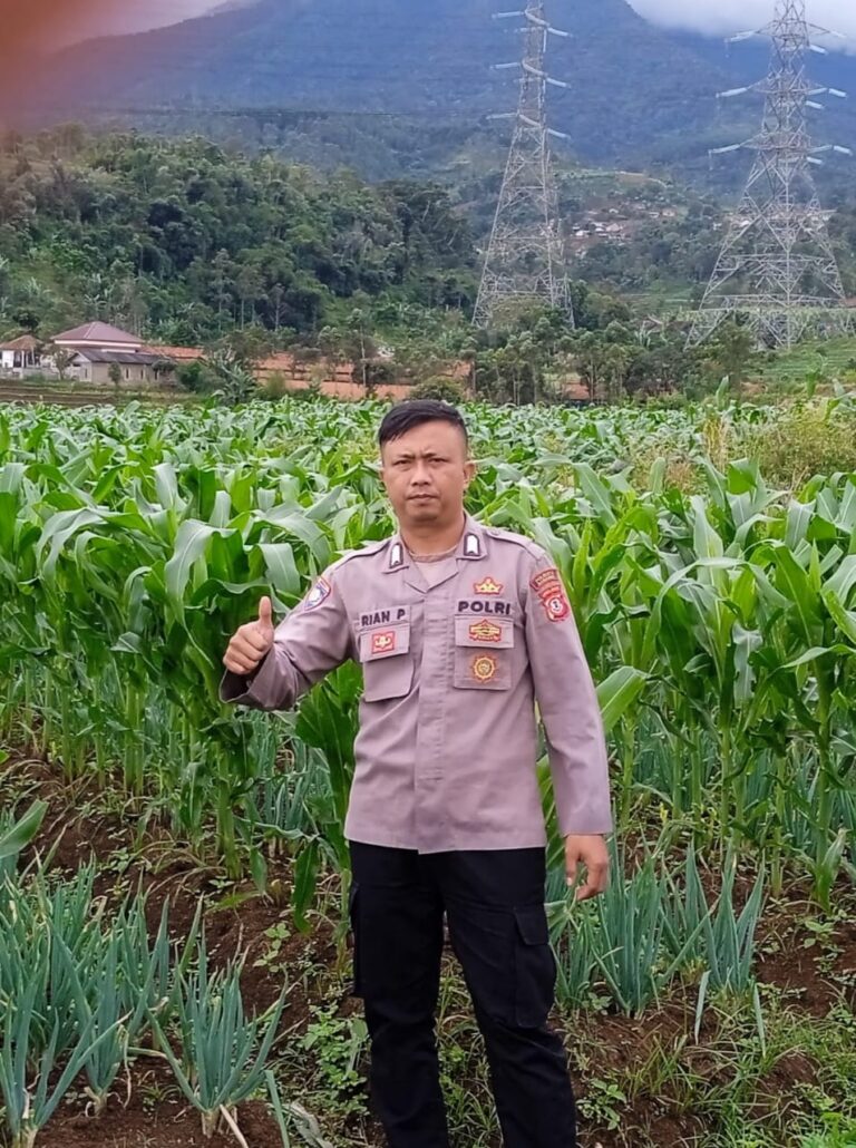 1072875