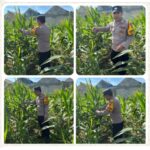 Oplus_131072