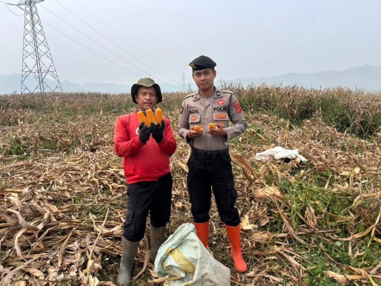 IMG-20260615-WA0024