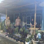 IMG-20260621-WA0097