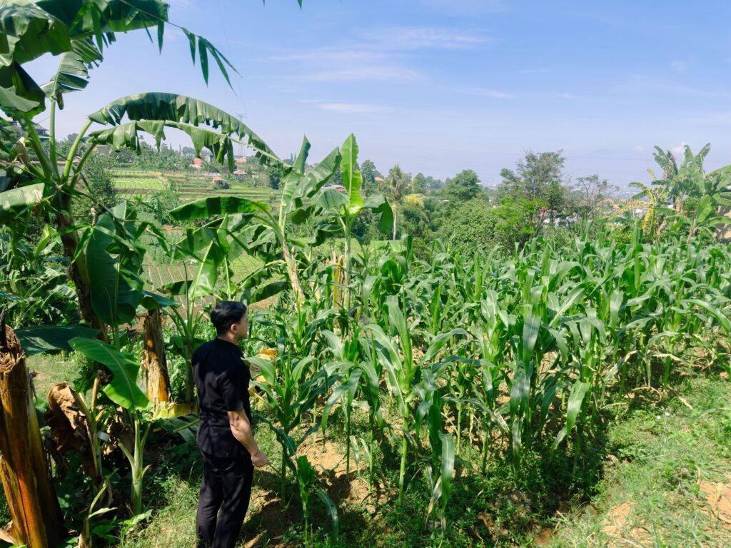 WhatsApp-Image-2026-06-20-at-08.28.40-1024x768.jpeg