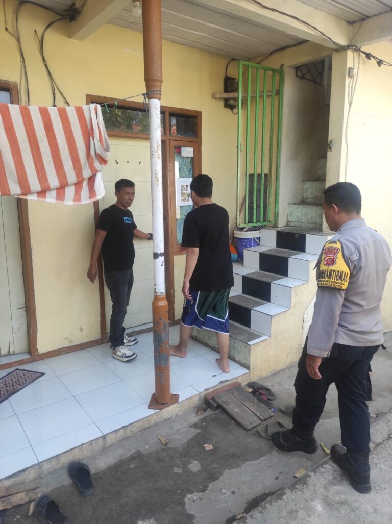 1181535
