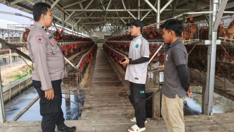 1218051