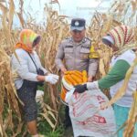 IMG-20260819-WA0032
