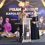 Oplus_131074