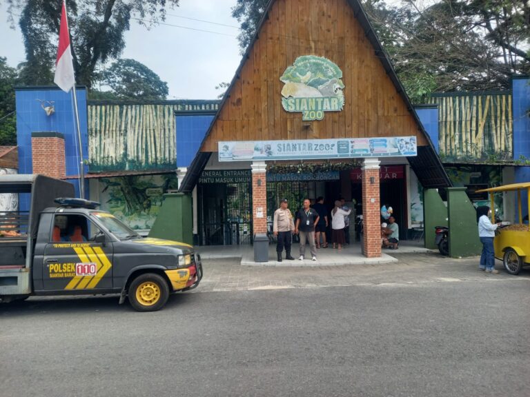 IMG-20260907-WA0049