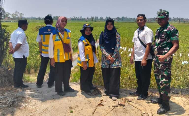 IMG-20260923-WA0009